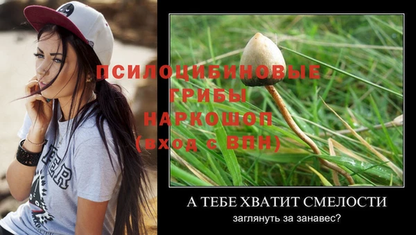 гидропоника Волосово