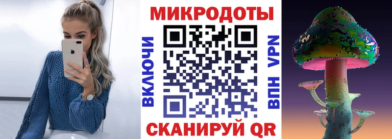 где можно купить   Петров Вал  Галлюциногенные грибы Cubensis 